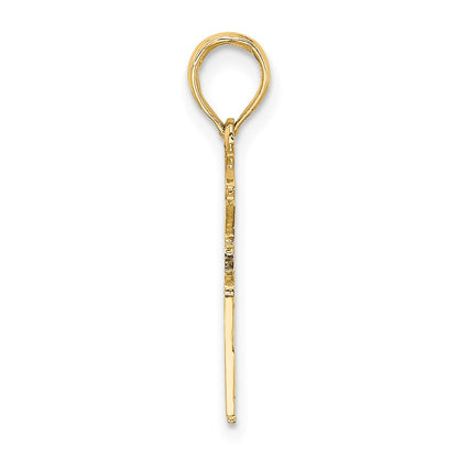10K Yellow Gold Registered Nurse Charm