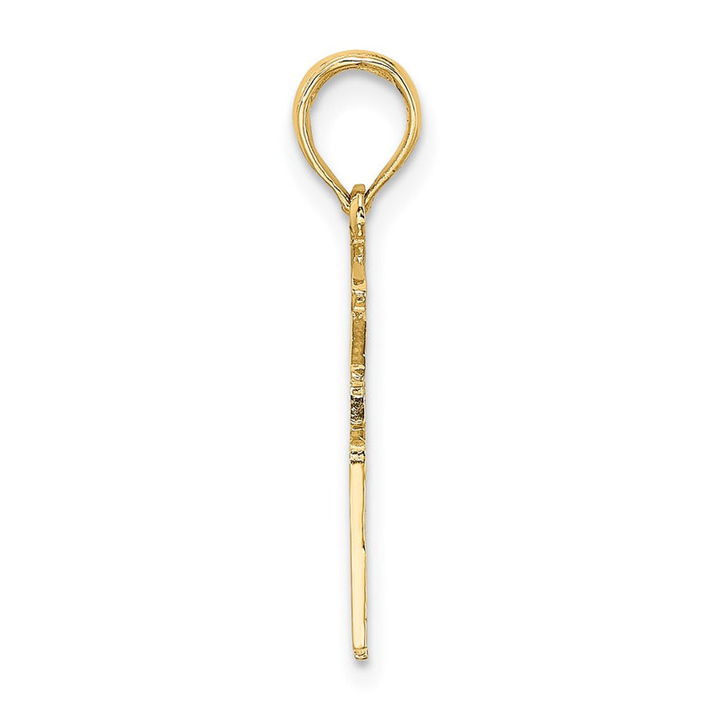 10K Yellow Gold Registered Nurse Charm