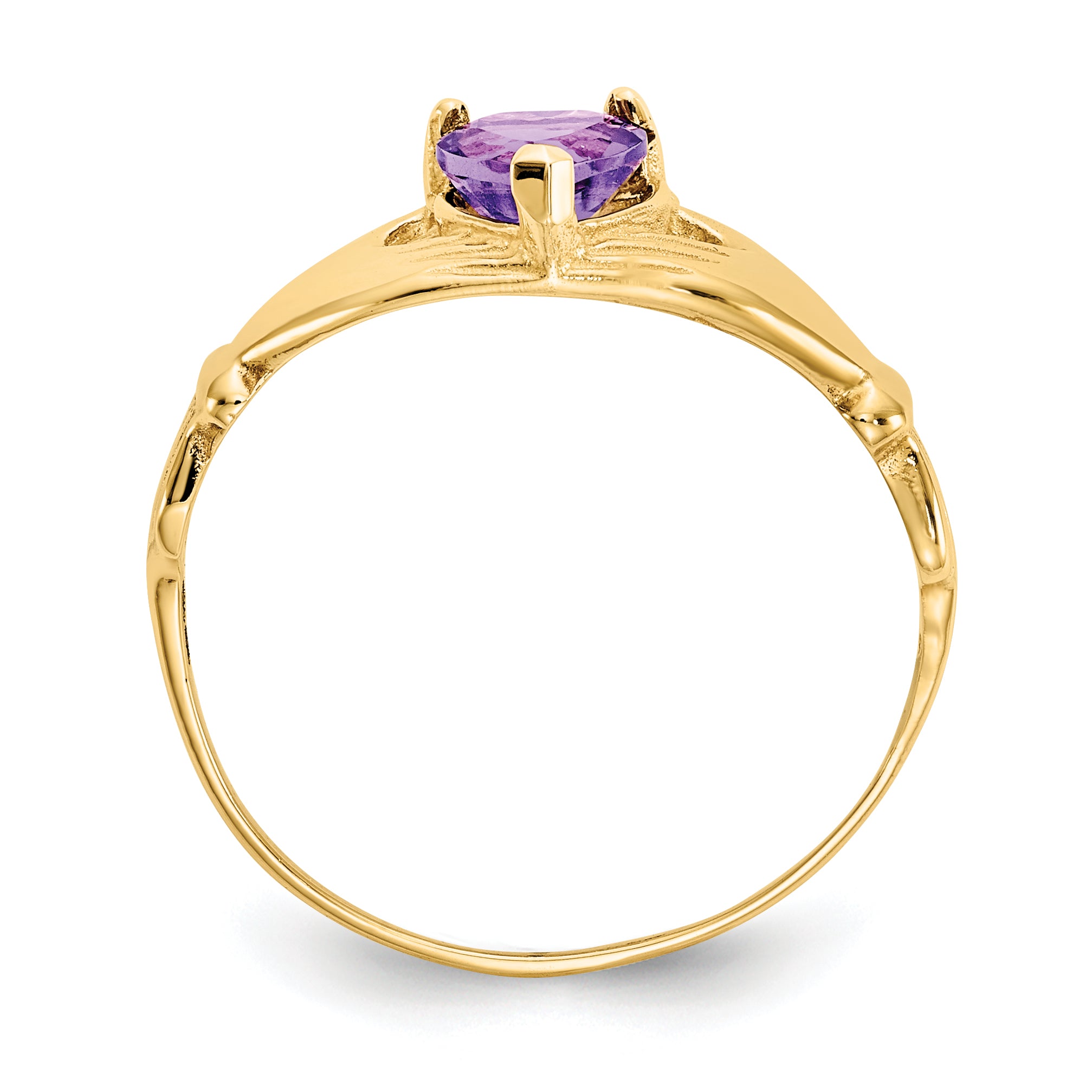 10K Yellow Gold Cz February Birthstone Claddagh Heart Ring