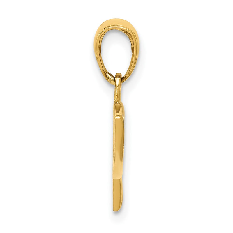 10K Yellow Gold 10K Ichthus Fish Pendant