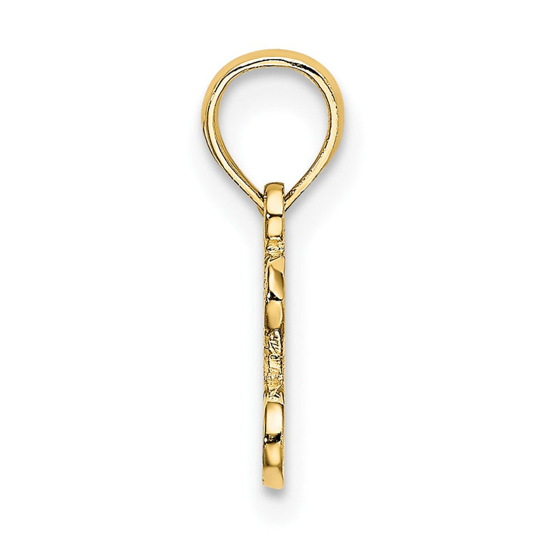 10K Yellow Gold 10K Polished / Textured I Love Gold Charm