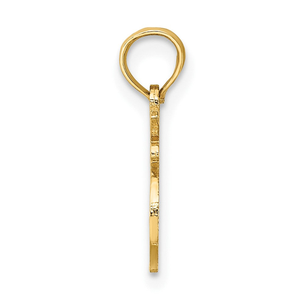 10K Yellow Gold 10K 100% Leo Zodiac Charm