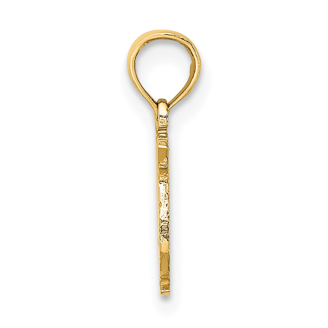 10K Yellow Gold 10K 100% Pisces Zodiac Charm