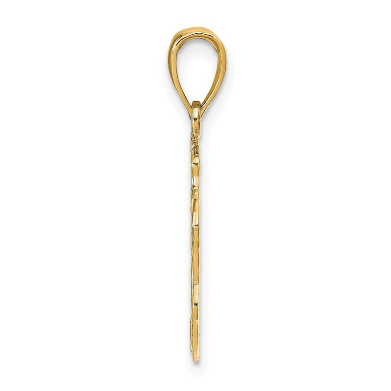 10K Yellow Gold 10K Lion Head Pendant