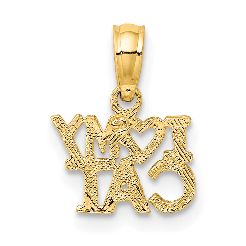 10K Yellow Gold I Heart My Cat Charm
