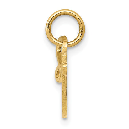 10K Yellow Gold Sexy Charm
