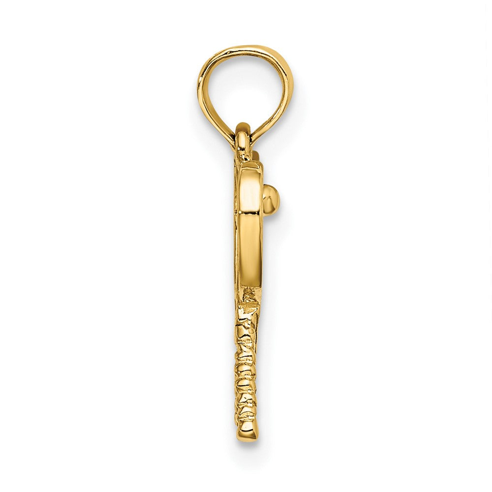 10K Yellow Gold 10K Tennis Racquets Pendant