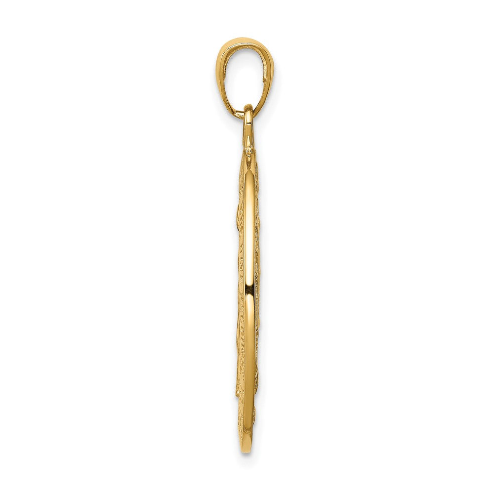 10K Yellow Gold 10K Satin And Polished Finish Miraculous Medal Pendant