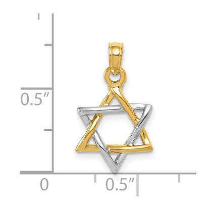 10K Two-Tone 10K Polished Star Of David Pendant