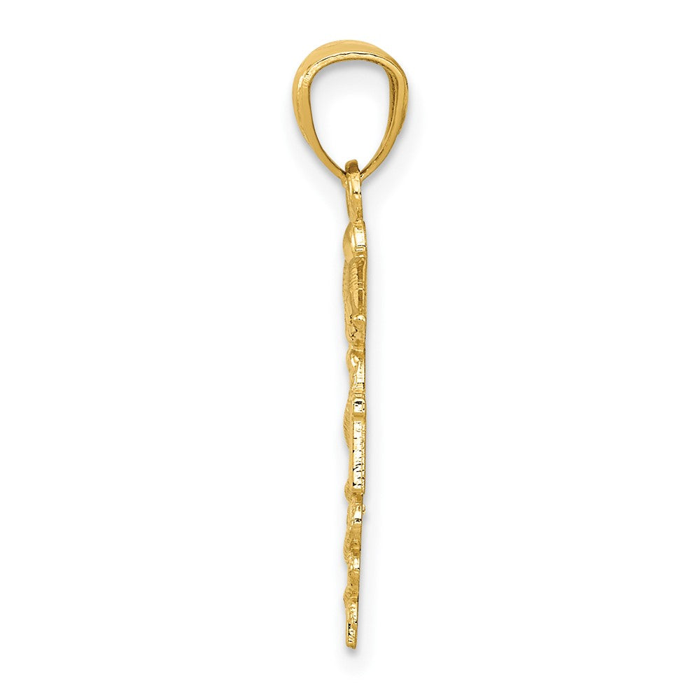 10K Yellow Gold Diamond-Cut Polished Rn Nurse Pendant