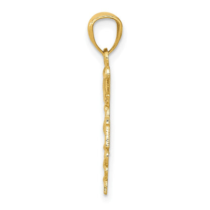 10K Yellow Gold Diamond-Cut Polished Rn Nurse Pendant