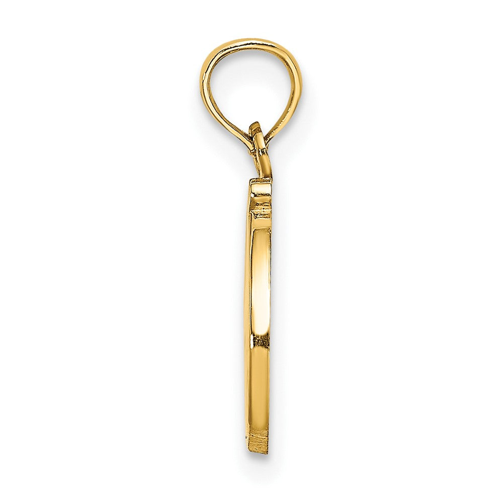 10K Yellow Gold 10K Polished D Script Initial Charm
