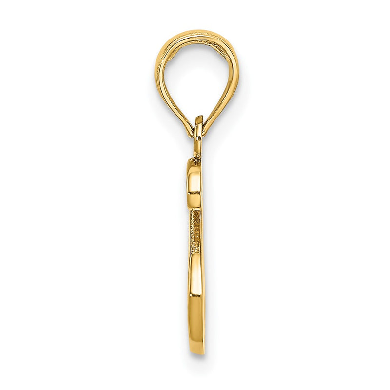 10K Yellow Gold 10K Polished S Script Initial Charm