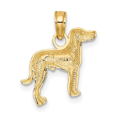 10K Yellow Gold 10K 2-D Greyhound Dog Charm