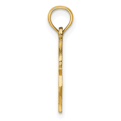 10K Yellow Gold 10K Dollar Sign Charm