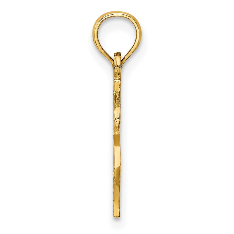 10K Yellow Gold 10K Dollar Sign Charm