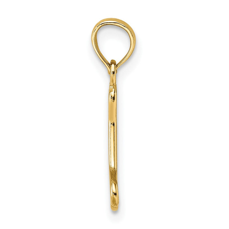 10K Yellow Gold 10K Cut-Out Polished Mini Dog Bone Charm