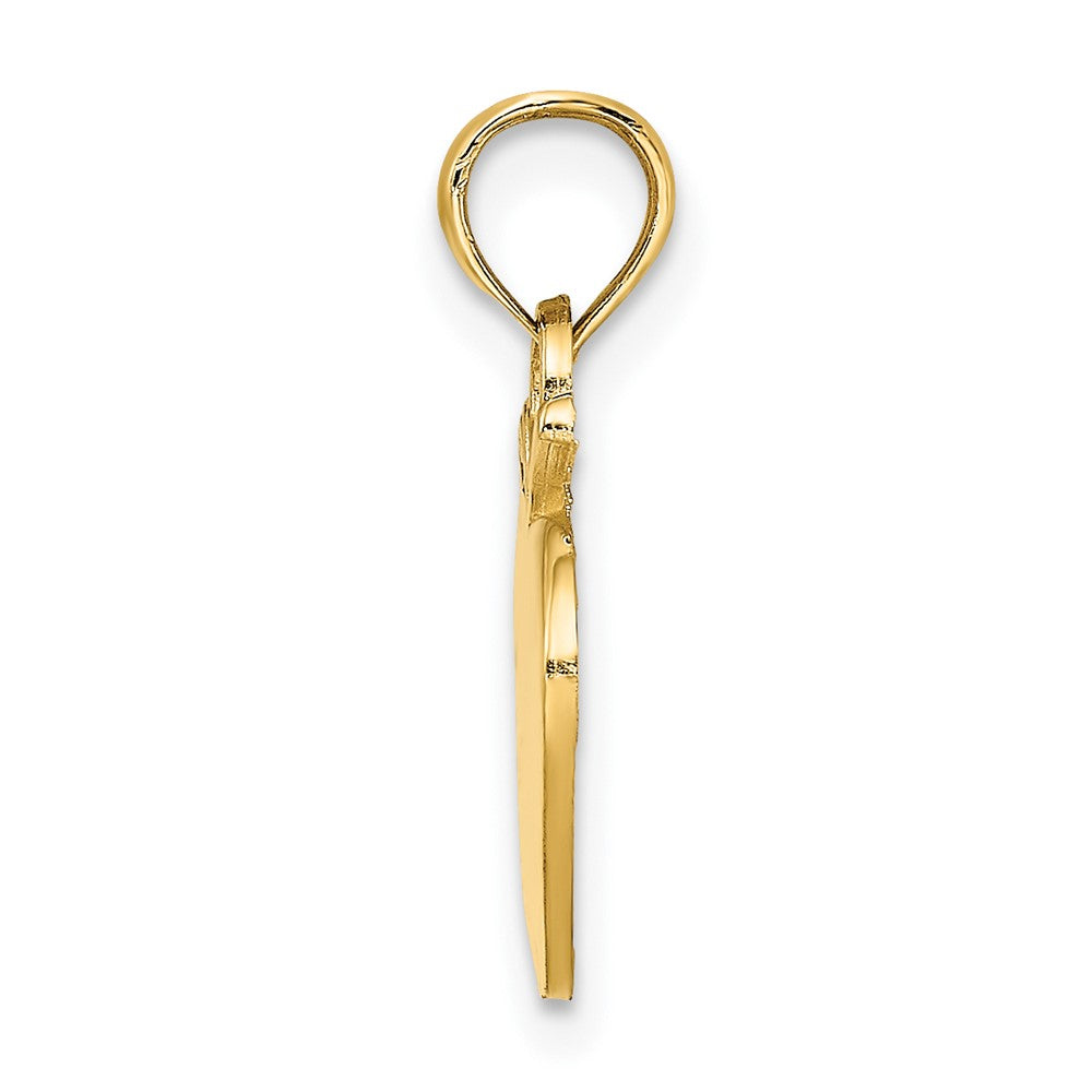 10K Yellow Gold 10K Polished Apple Charm