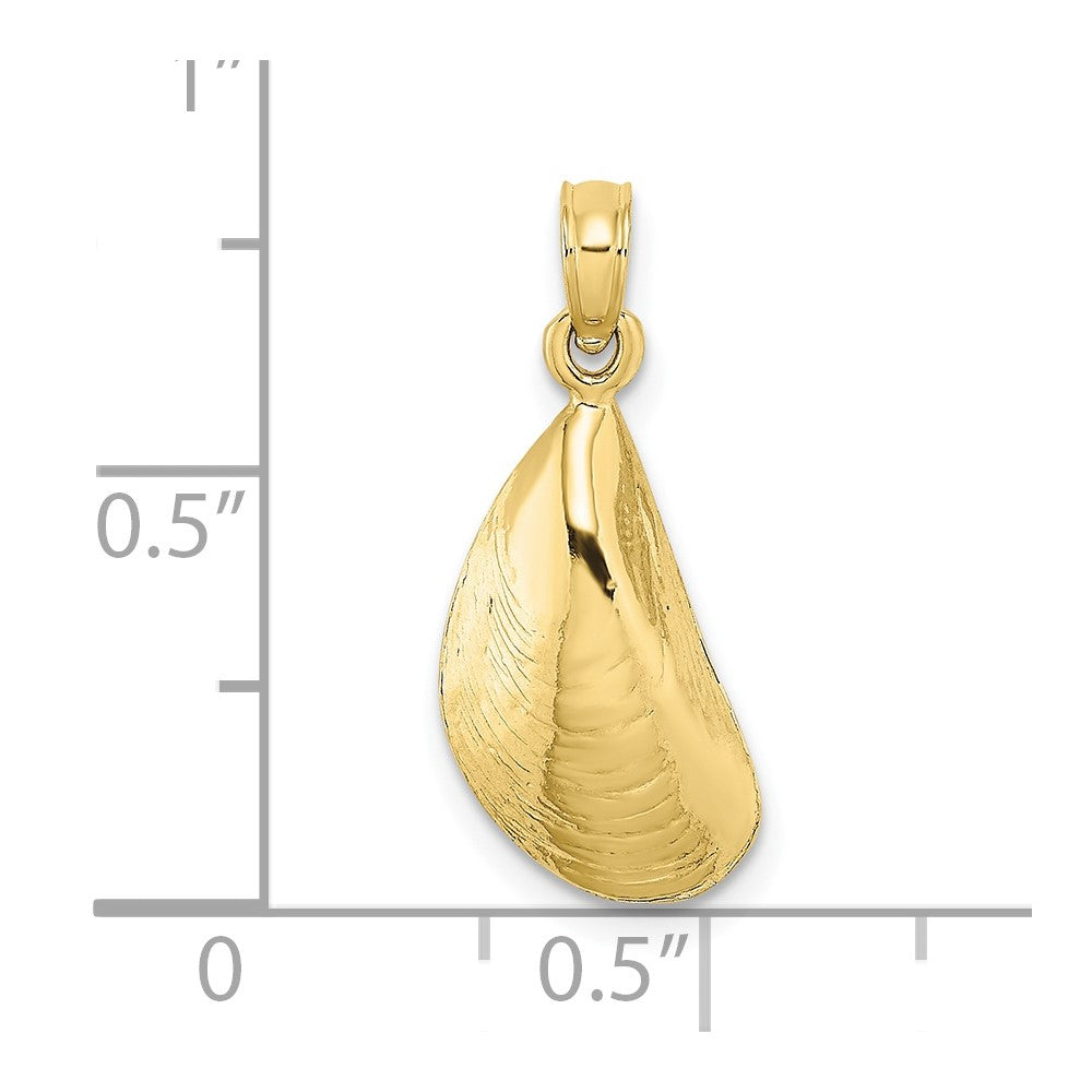 10K Yellow Gold 10K 2-D Polished Mussel Shell Charm
