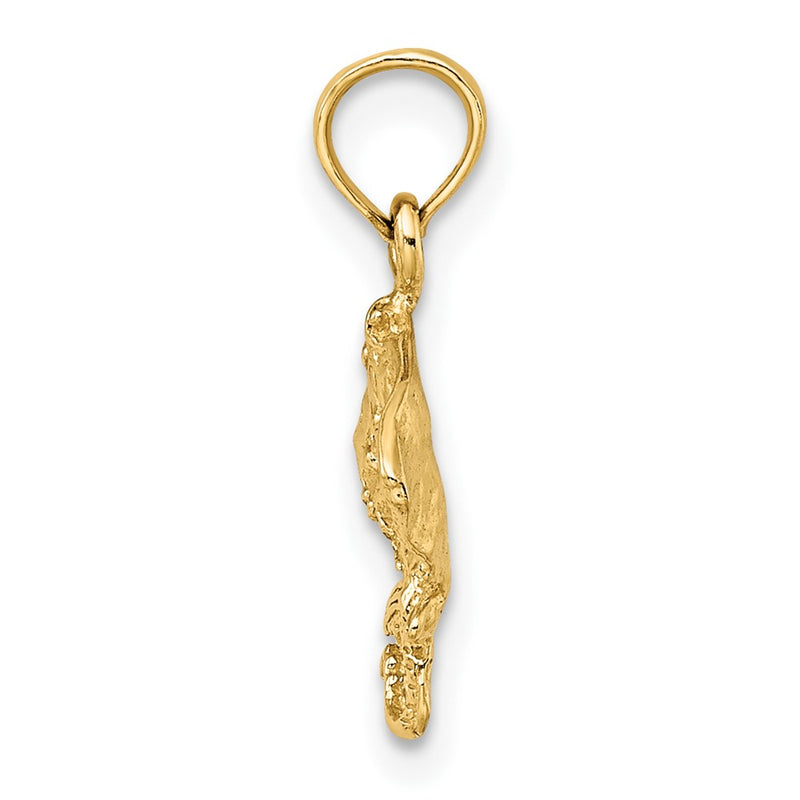 10K Yellow Gold 10K Stingray Charm