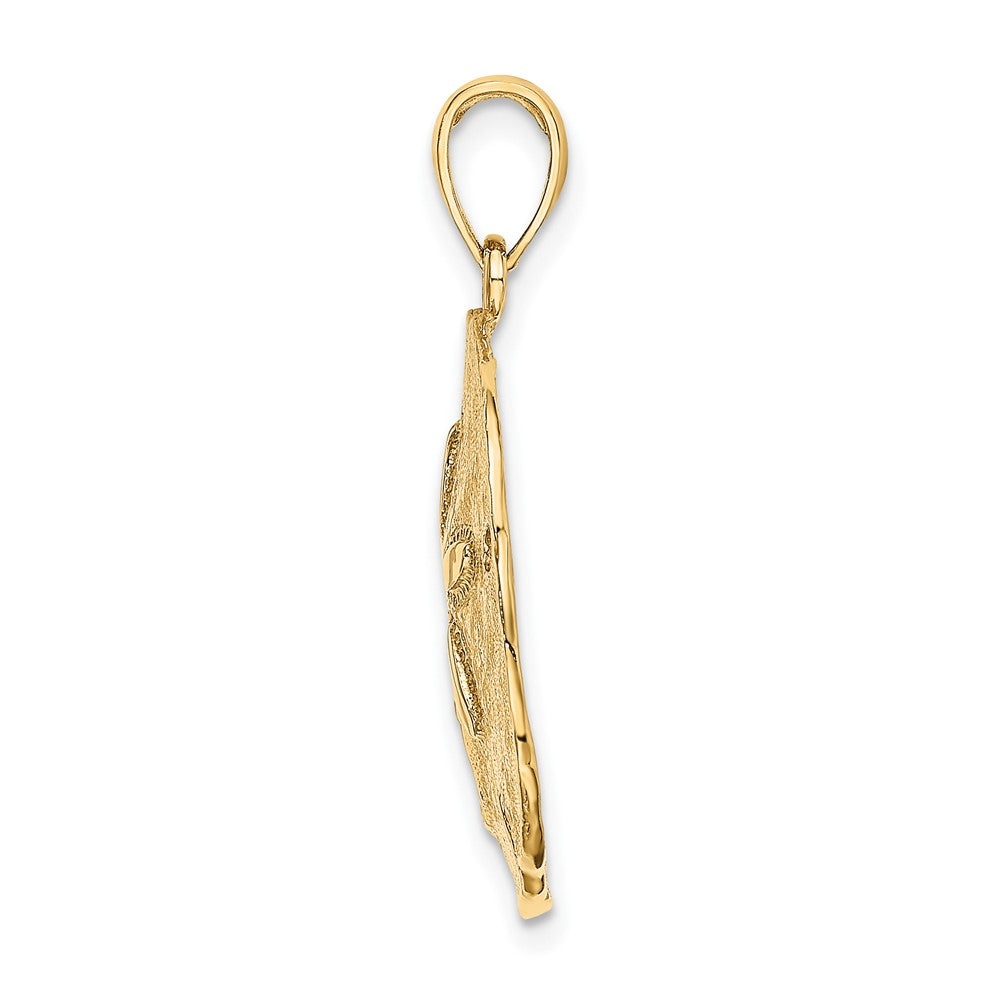 10K Yellow Gold 10K Polished Sand Dollar Charm