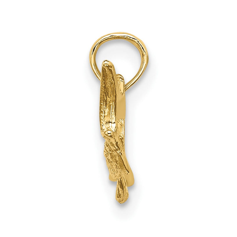 10K Yellow Gold 10K Textured 2-D Marlin Fish Charm