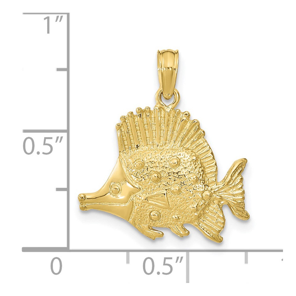 10K Yellow Gold 10K Polished Engraved Fish Charm