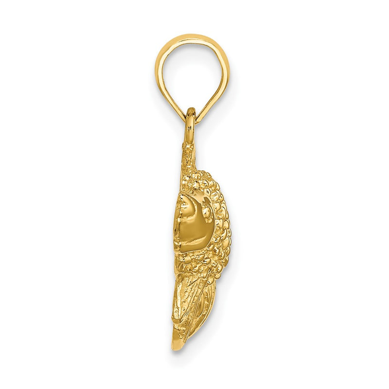 10K Yellow Gold Textured Angel Fish Charm