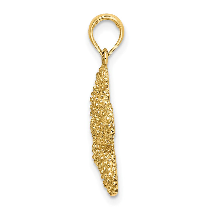 10K Yellow Gold 10K 2-D Puffed Starfish Charm