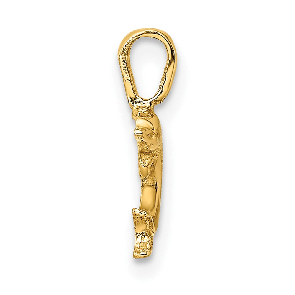 10K Yellow Gold 10K Mini Jumping Dolphin W/ Fixed Bail Charm