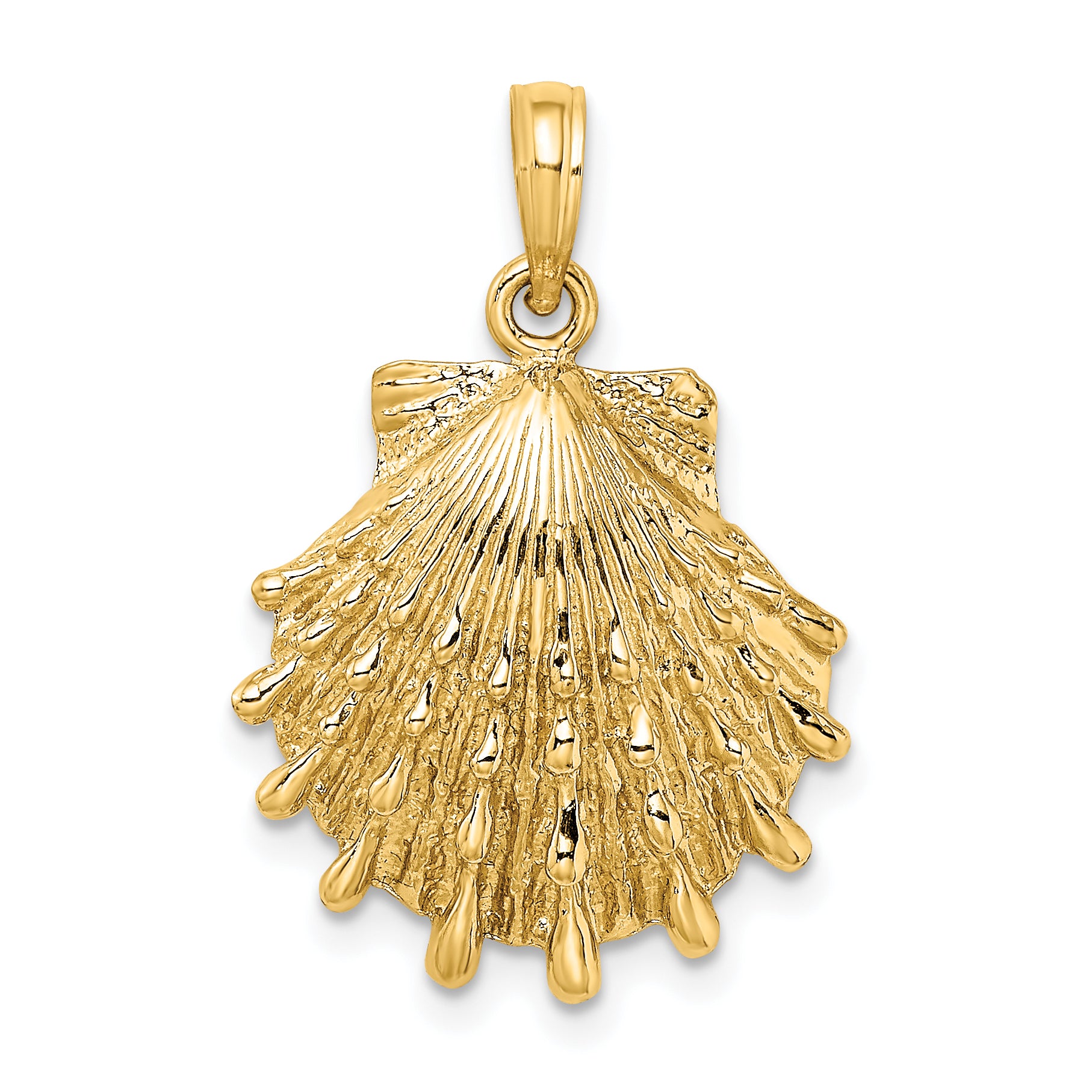 10K Yellow Gold 10K Lions Paw Shell Charm
