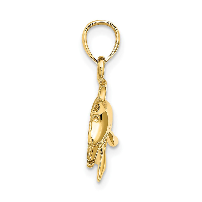 10K Yellow Gold 10K Textured Polished Dolphin Jumping Charm