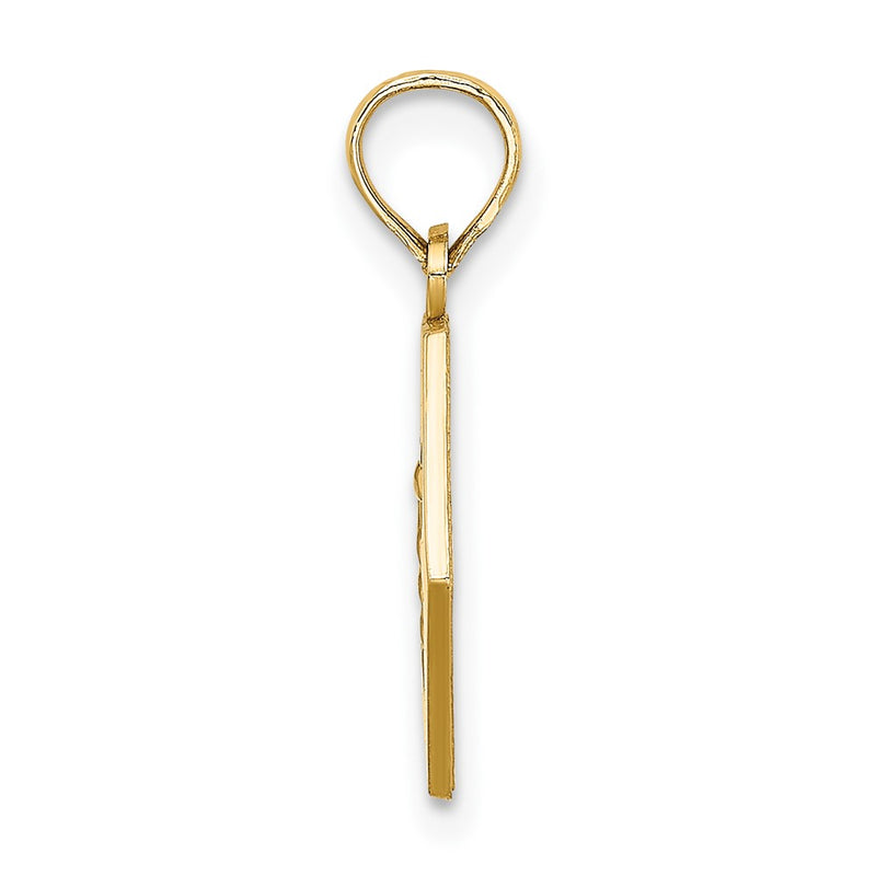 10K Yellow Gold Medical Disc Pendant