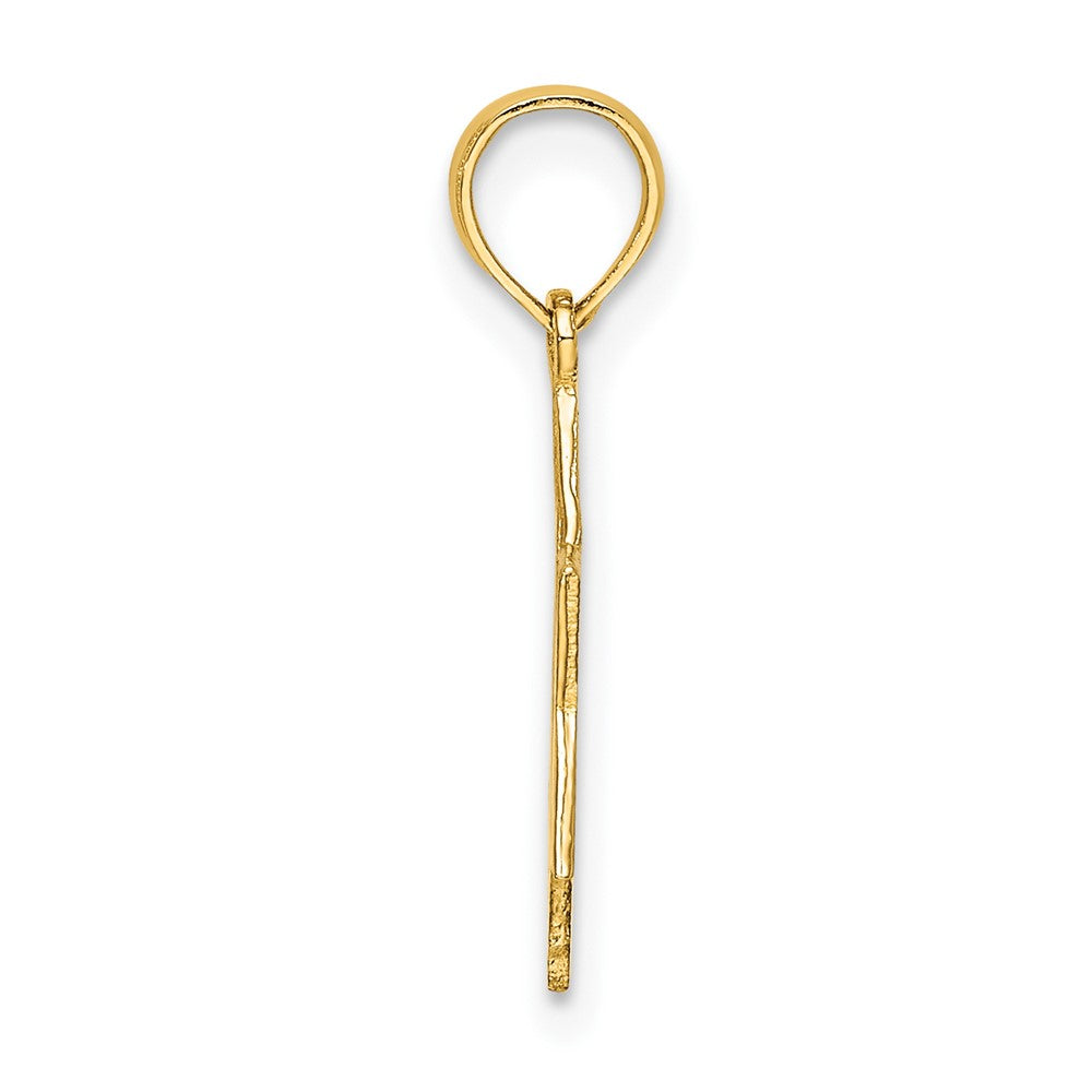 10K Yellow Gold 10K Polished Star Of David Charm