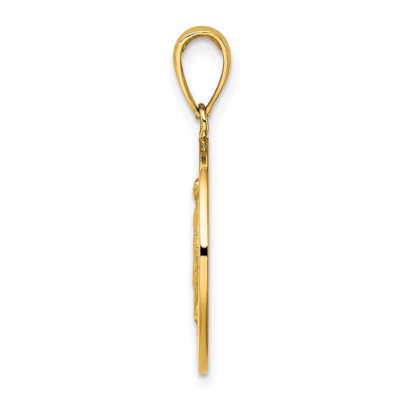 10K Yellow Gold 10K Polished And Satin Miraculous Medal Charm
