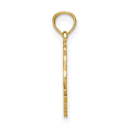 10K Yellow Gold 10K Capricorn Zodiac Charm