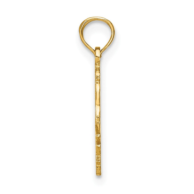 10K Yellow Gold 10K Capricorn Zodiac Charm