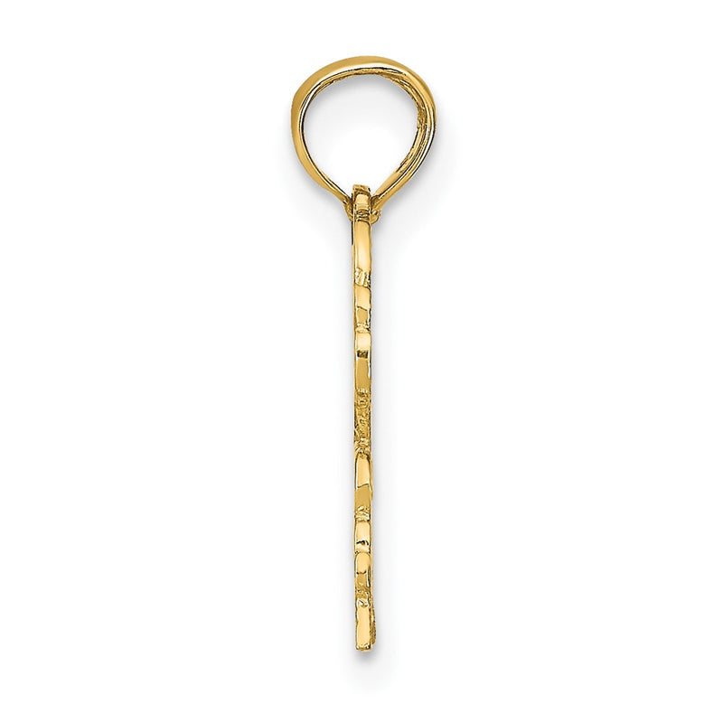 10K Yellow Gold 10K Cancer Zodiac Charm