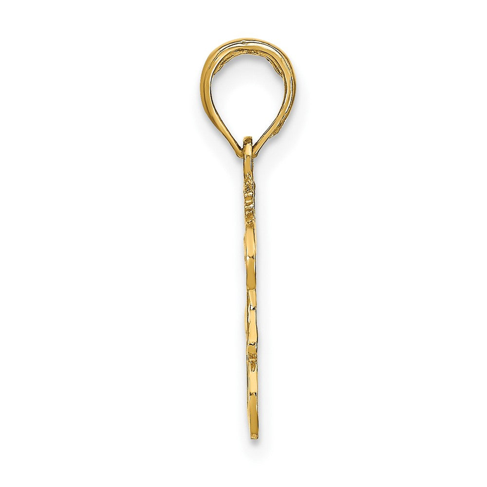 10K Yellow Gold 10K Leo Zodiac Charm