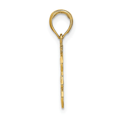10K Yellow Gold 10K Leo Zodiac Charm