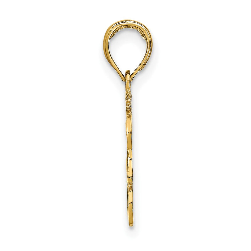 10K Yellow Gold 10K Leo Zodiac Charm