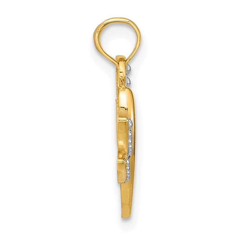 10K Yellow W/Rhodium 10K W/ Rhodium Textured Dragonfly Charm