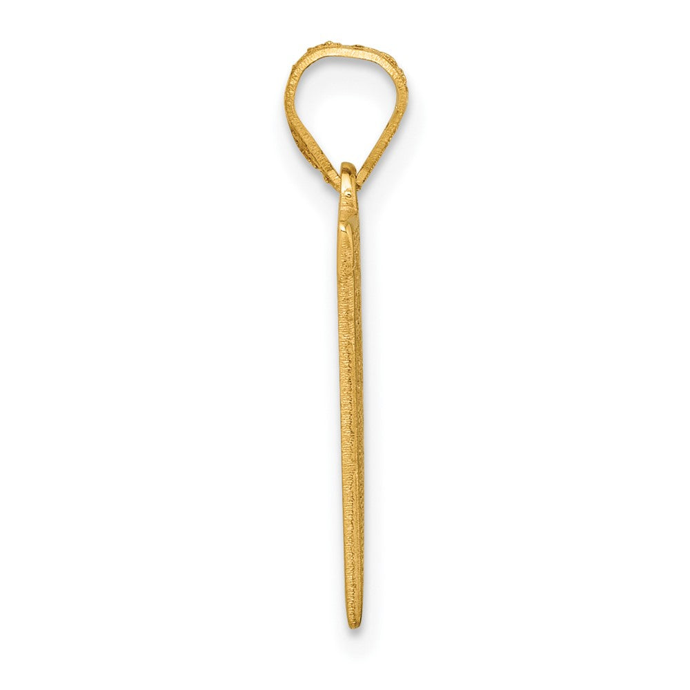 10K Yellow Gold 10K Class Of 2025 Rally Flag / Graduation Charm
