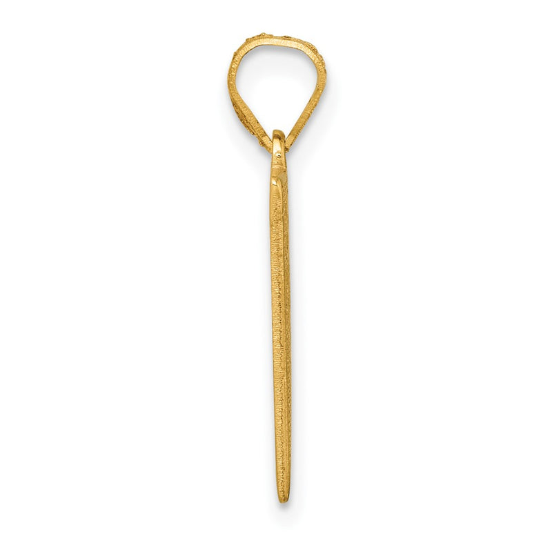 10K Yellow Gold 10K Class Of 2025 Rally Flag / Graduation Charm