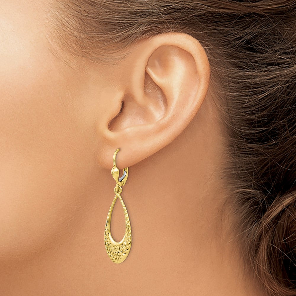 10K Yellow Gold Polished And D/C Leverback Earrings
