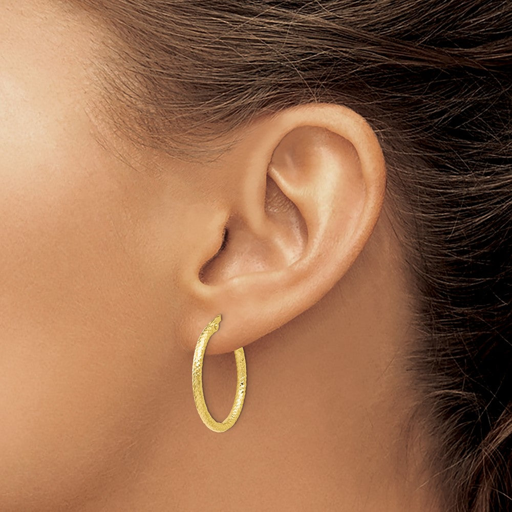 10K Yellow Gold Polished And Textured Hinged Hoop Earrings