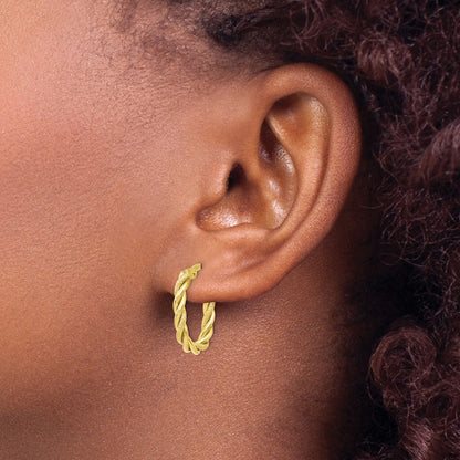 10K Yellow Gold Polished and Textured Gold Earrings