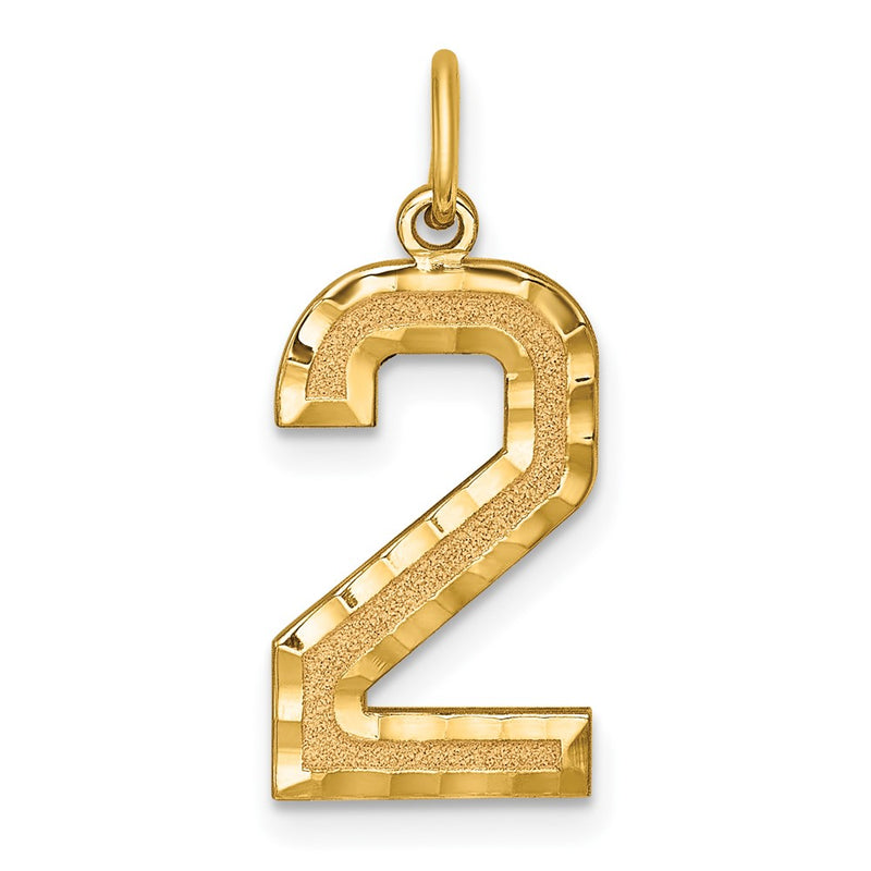 10K Yellow Gold 10Ky Casted Large Diamond Cut Number 2 Charm