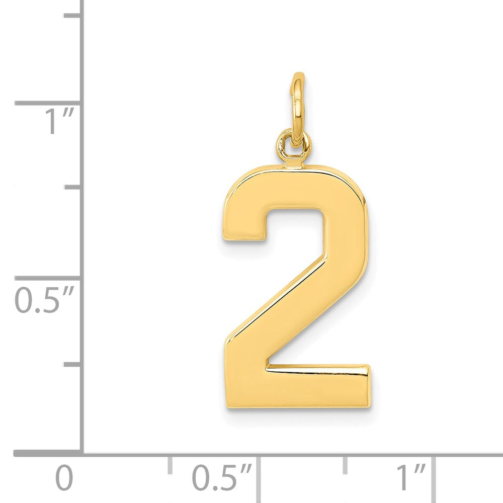 10K Yellow Gold Large Polished Number 2 Charm