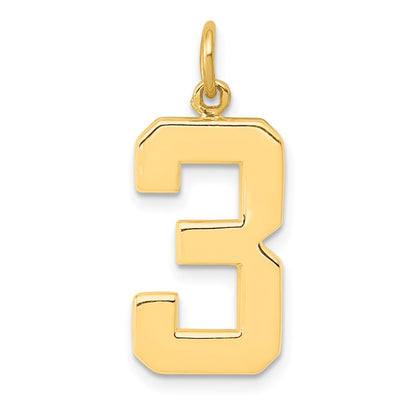 10K Yellow Gold Large Polished Number 3 Charm
